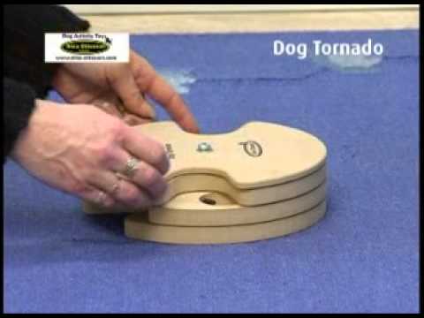 Dog Tornado_1.flv
