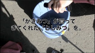 【書き初め】東海オンエア墨汁集1【習字】