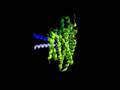 H ATPase PMA2 14 3 3 Science Vs Smolik Om