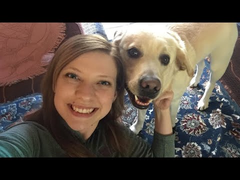 Quand on a un meilleur ami qui s'appelle chien