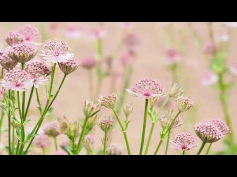 Bring a collective together impacts us all in a profound way.