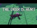 99 Nights In The Forest The Deer Is Hurt Cutscene Roblox