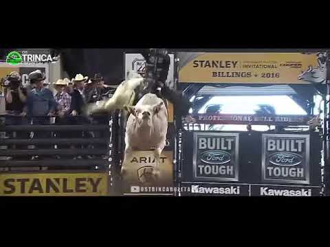 Vídeo de rodeio para status do WhatsApp