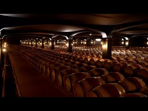 Războiul comercial lansat de Donald Trump şi replica europenilor • RFI România