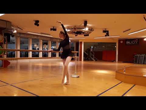 Balletttraining 5 - Wormser Ballettschule