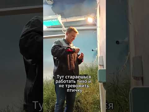 Микроклимат для китоглава