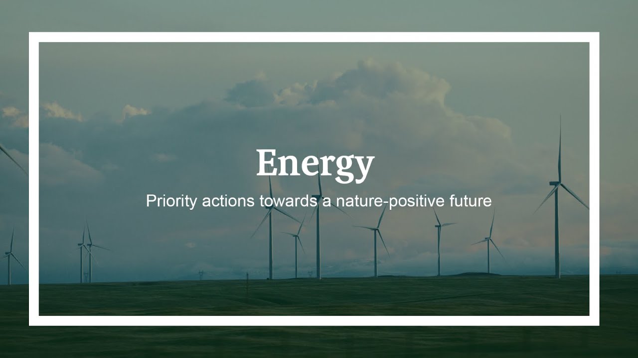 How the Energy system can contribute towards a nature-positive future