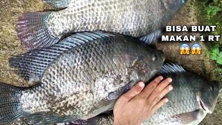 Download lagu Full strike ..! mancing di spot tak terjamah hasilnya di luar dugaan mp3