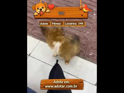 Vídeo de Mel