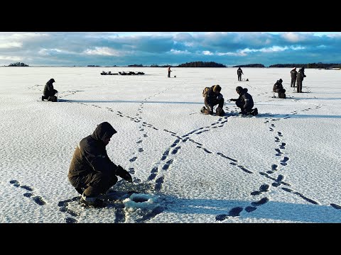 Kurkistus yritysryhmän pilkkireissulle - Ahvenen pilkintä - Kuhan pilkintä
