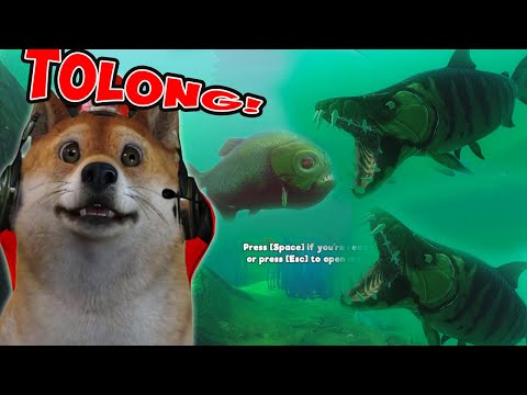 OBIT JADI INCARAN IKAN BUAS!!! | Feed and Grow Fish Indonesia