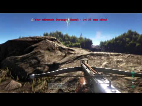 Dumbass falls off cliff