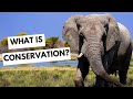 What is conservation?