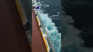 Some where in the sea 🇭🇲#cruise #cruisetour #carnivalcruise #travel #cruiseline #cruiseship
