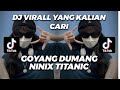 DJ GOYANG DUMANG X NINIX TITANIC SOUND FEBRII SARAGIH VIRALL TIKTOK