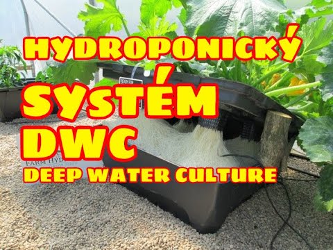 , title : 'Jak postavit hydroponický systém DWC? (1.díl DWC salátový záhon)'