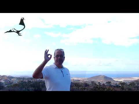 Big Announcement Derby ARONA NEW LOFT STARTING