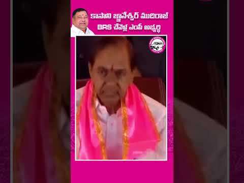 Kasani Gnaneshwar Mudiraj Shocking Speech | BRS Party Meeting