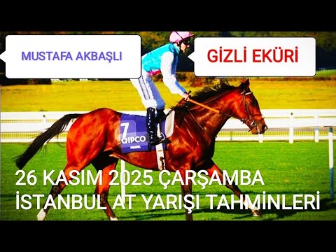 WEDNESDAY, NOVEMBER 26, 2025 ISTANBUL HORSE RACE PREDICTIONS ARE ON OUR SECRET SAME MATCH CHANNEL