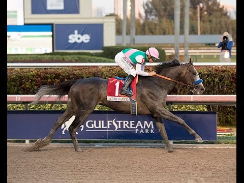 Arrogate (USA) - 2017 Pegasus World Cup Invitational