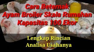 Download lagu Cara Beternak Ayam Broiler Skala Rumahan 100 Ekor - Lengkap Analisa Usahanya mp3