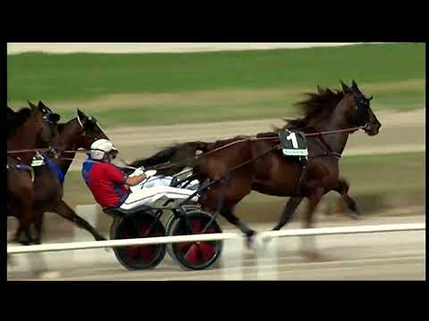 Napoli Trotto 02/10/2022 - 1ª corsa