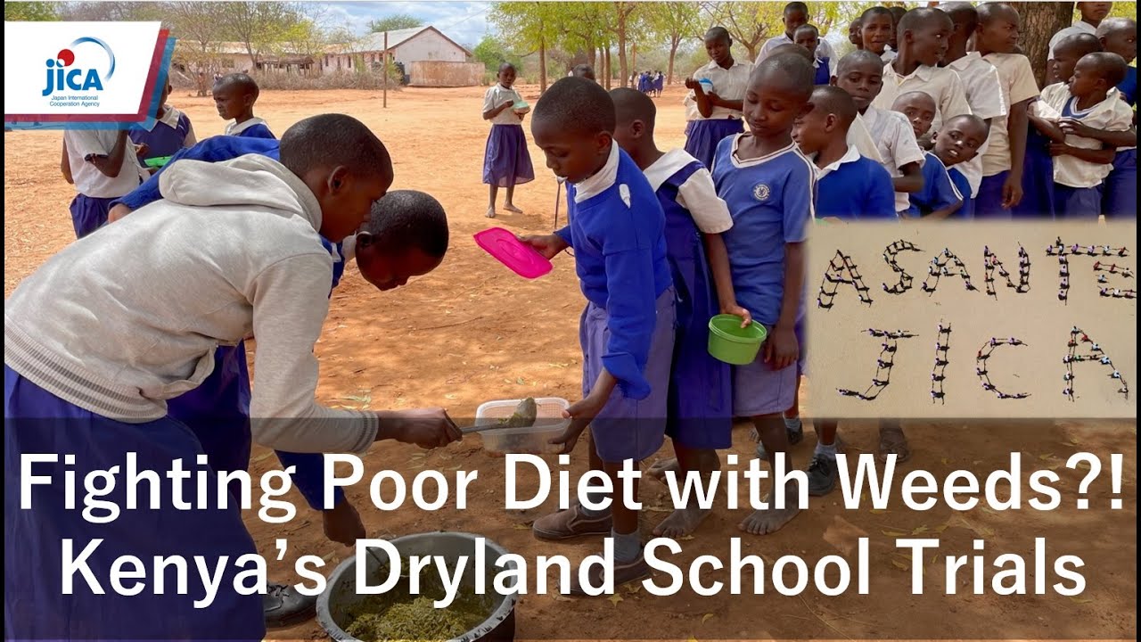 Project for Improvement of Food and Nutrition Security under Climate Change in ASAL of Kenya