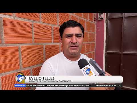 EL PRECIO DEL SÁBALO DE VILLA MONTES SE TRIPLICA EN TARIJA