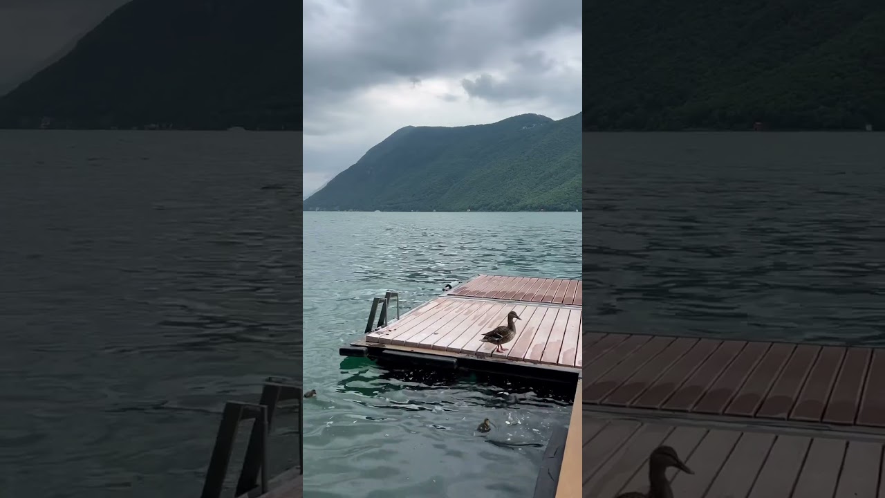 YouTube Short thumbnail