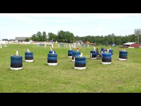 Leena Kalalahti Vuohimäen Havu, BC I 2012, obst nr 5.