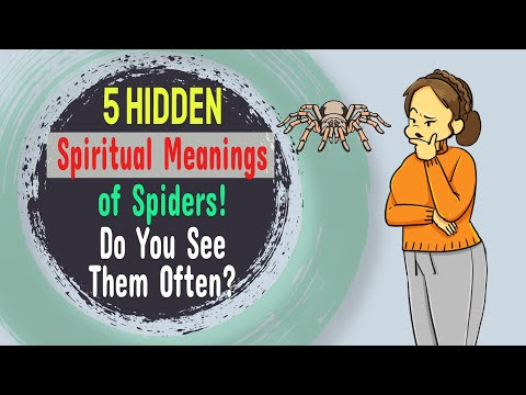 5 Hidden Spiritual Meanings of Spiders! Do You See Them Often?