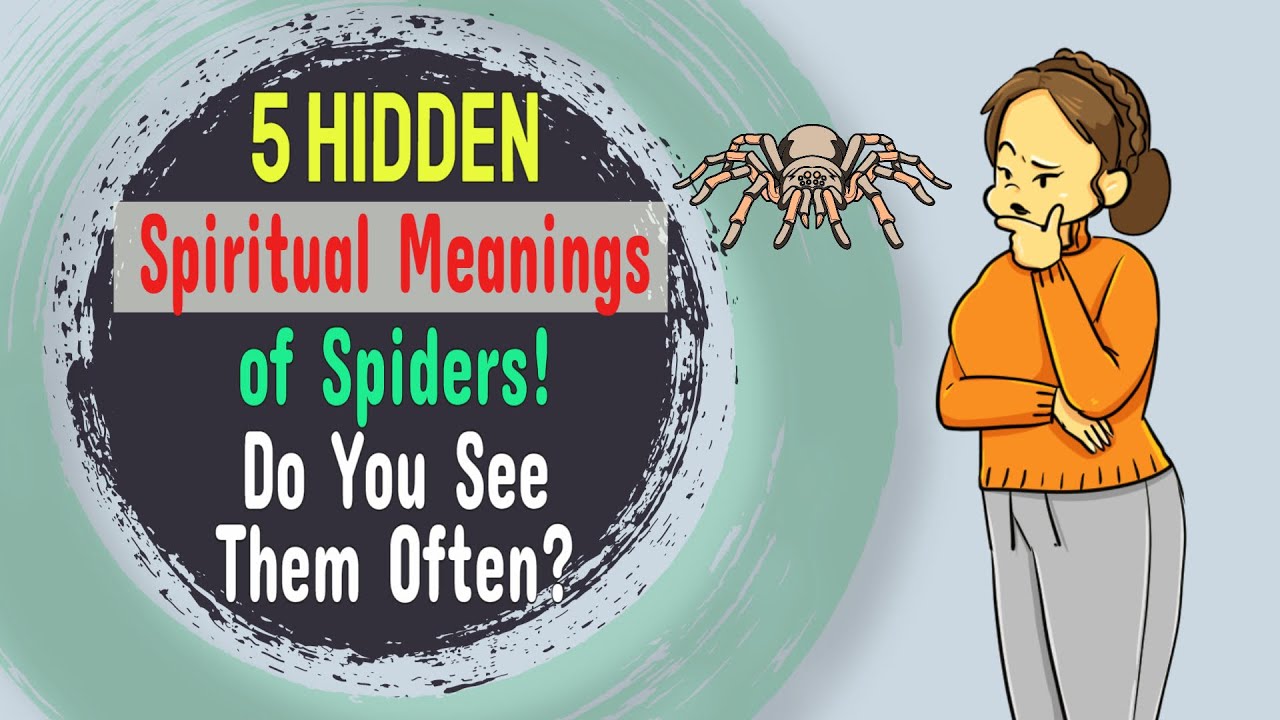 5 Hidden Spiritual Meanings of Spiders! Do You See Them Often?