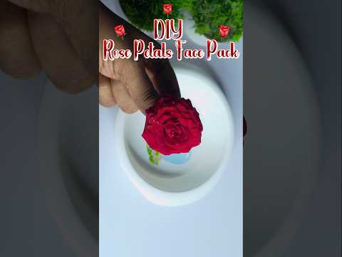 DIY Rose Petals Face Pack |