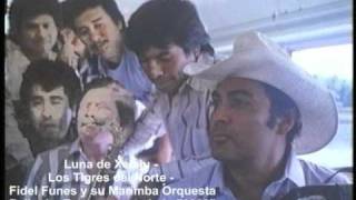 Luna de Xelaju - Los Tigres del Norte