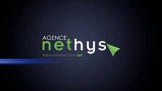 Nethys  Logo Assembly