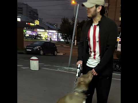 green 71 slow down эй телка