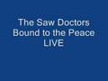 The Saw Doctors