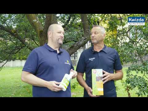 Permaclean Duo Unkraut & Wurzel Ex – Kraftvolle Unkrautbekämpfung bis in die Wurzel