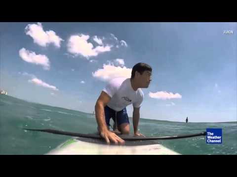 Shark Knocks Man Off Paddle Board Near Florida Coast