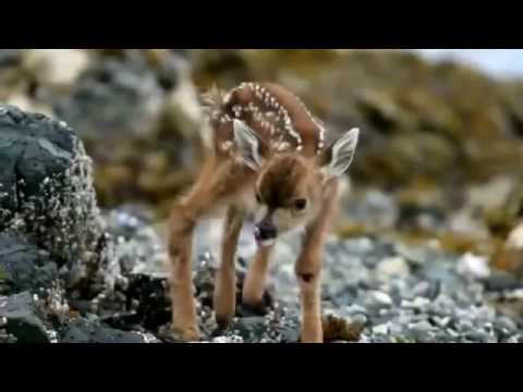 MUSICA DEL MOMENTO Best Remix 2016 Marzo