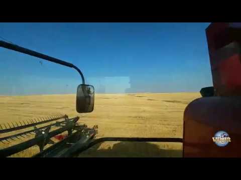 🔴Live! Harvest 2018 Part 2 - Welker Farms Inc