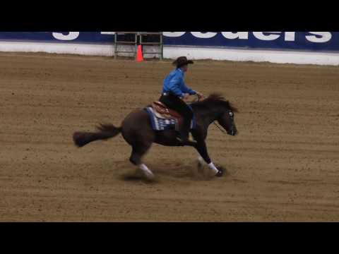 NRBC 2017 – Andrea Fappani