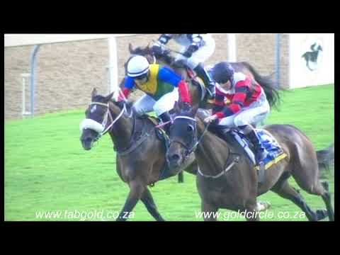 20180318 Greyville Race 8 won by ROMAN COURTESAN