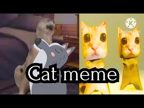 kumi kumi Haba Laka dance with Gray Wolf @CiC-CatsisCats