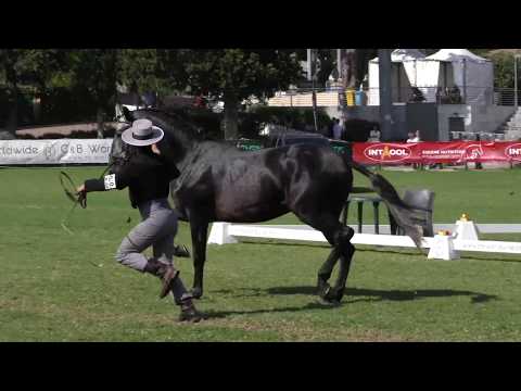 Monte Barrão Larápio at FIPSL 2018