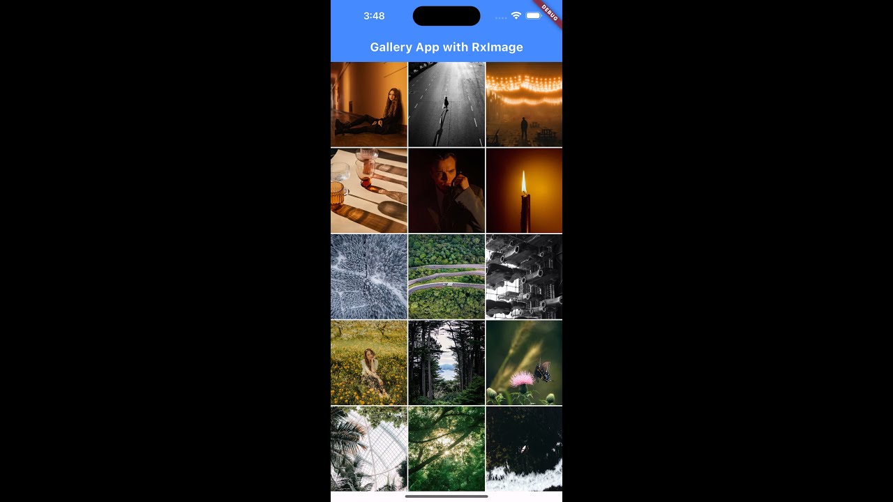 Flutter Gallery App with rxcache_network_image