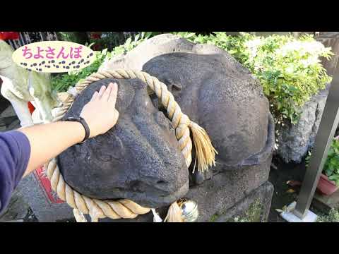 2019_ちよさんぽ５　風ぐるま　麹町ルート