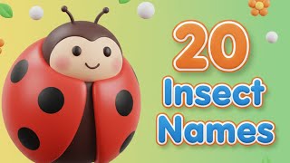20 Insects Names | Learn 20 Insects Names for Kids in English | Names of insects | #insects