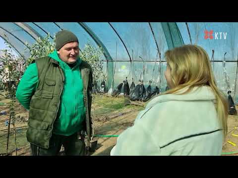 Bemutatkozunk a TV-ben is