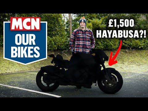 I Bought the CHEAPEST Suzuki Hayabusa in the World! 🤯 Epic Deal or Total Disaster? | MCN